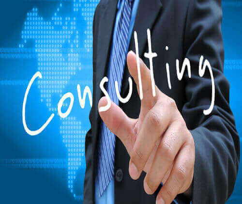 Consulting Partner